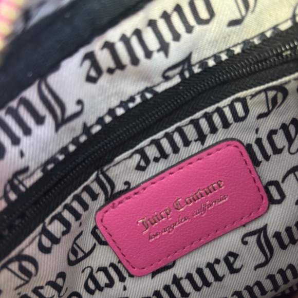 NEW✨✨ Juicy bag - Picture 4 of 5
